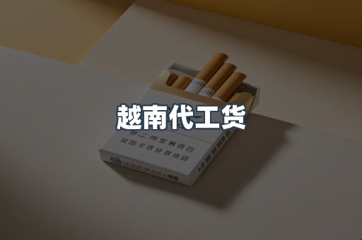 越南代工货
